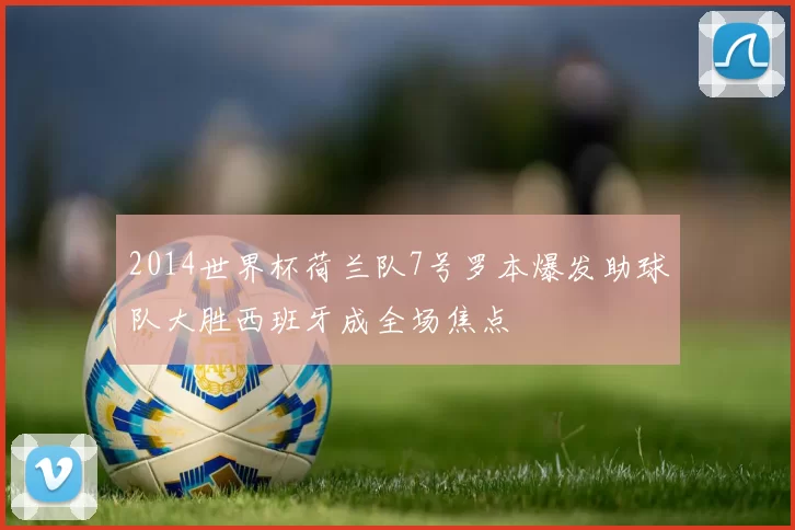 2014世界杯荷兰队7号罗本爆发助球队大胜西班牙成全场焦点