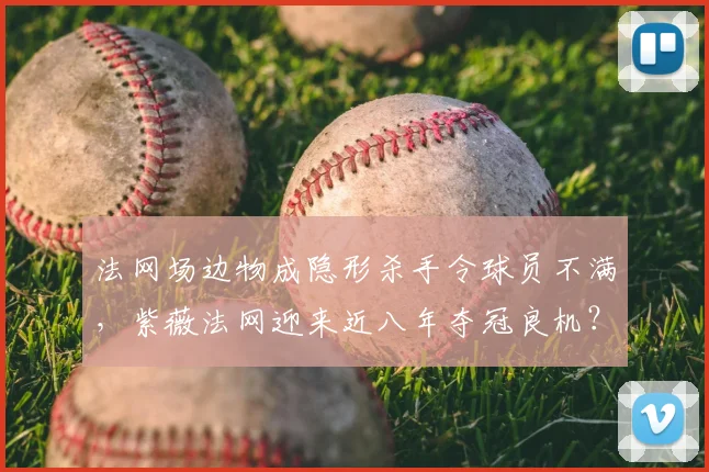 法网场边物成隐形杀手令球员不满，紫薇法网迎来近八年夺冠良机？