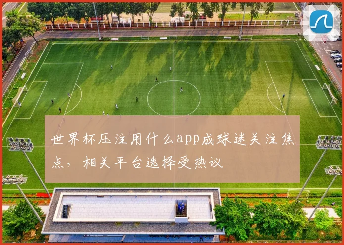 世界杯压注用什么app成球迷关注焦点，相关平台选择受热议