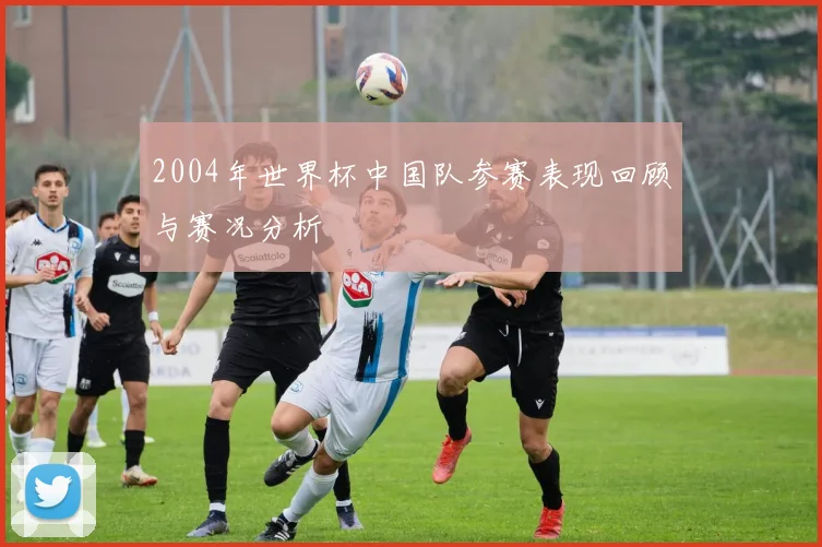 2004年世界杯中国队参赛表现回顾与赛况分析