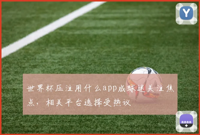 世界杯压注用什么app成球迷关注焦点，相关平台选择受热议